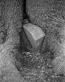 Cristian Ordóñez Cristian Ordóñez