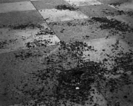 Cristian Ordóñez Cristian Ordóñez