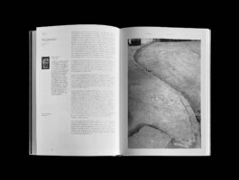 Cristian Ordóñez, Sergio Larrain text for book Cristian Ordóñez