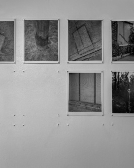 Frequency, Cristian Ordóñez. Galería Animal, solo exhibition 2022 Cristian Ordóñez