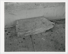 Frequency, Cristian Ordóñez. Galería Animal, solo exhibition 2022 Cristian Ordóñez