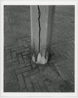 Frequency, Cristian Ordóñez. Galería Animal, solo exhibition 2022 Cristian Ordóñez