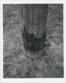 Frequency, Cristian Ordóñez. Galería Animal, solo exhibition 2022 Cristian Ordóñez