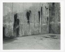 Frequency, Cristian Ordóñez. Galería Animal, solo exhibition 2022 Cristian Ordóñez