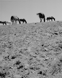 Valle, Cristian Ordóñez. Photography at Huasco Valley, Atacama, Chile, 2022 Cristian Ordóñez