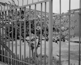 Valle, Cristian Ordóñez. Photography at Huasco Valley, Atacama, Chile, 2022 Cristian Ordóñez