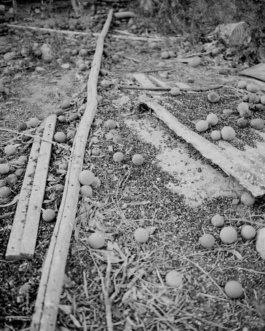 Valle, Cristian Ordóñez. Photography at Huasco Valley, Atacama, Chile, 2022 Cristian Ordóñez
