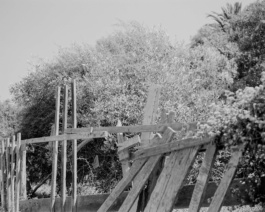 Valle, Cristian Ordóñez. Photography at Huasco Valley, Atacama, Chile, 2022 Cristian Ordóñez