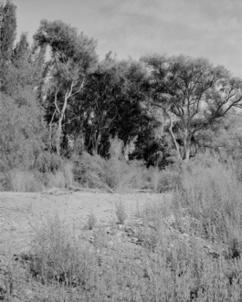 Valle, Cristian Ordóñez. Photography at Huasco Valley, Atacama, Chile, 2022 Cristian Ordóñez