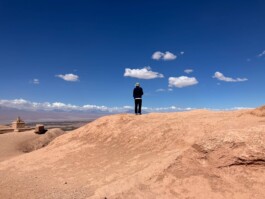 Works by © Cristian Ordóñez Cristian Ordóñez